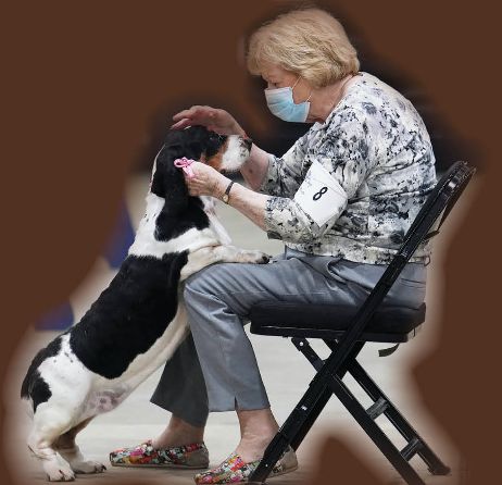 2020 Salisbury Maryland Kennel Club